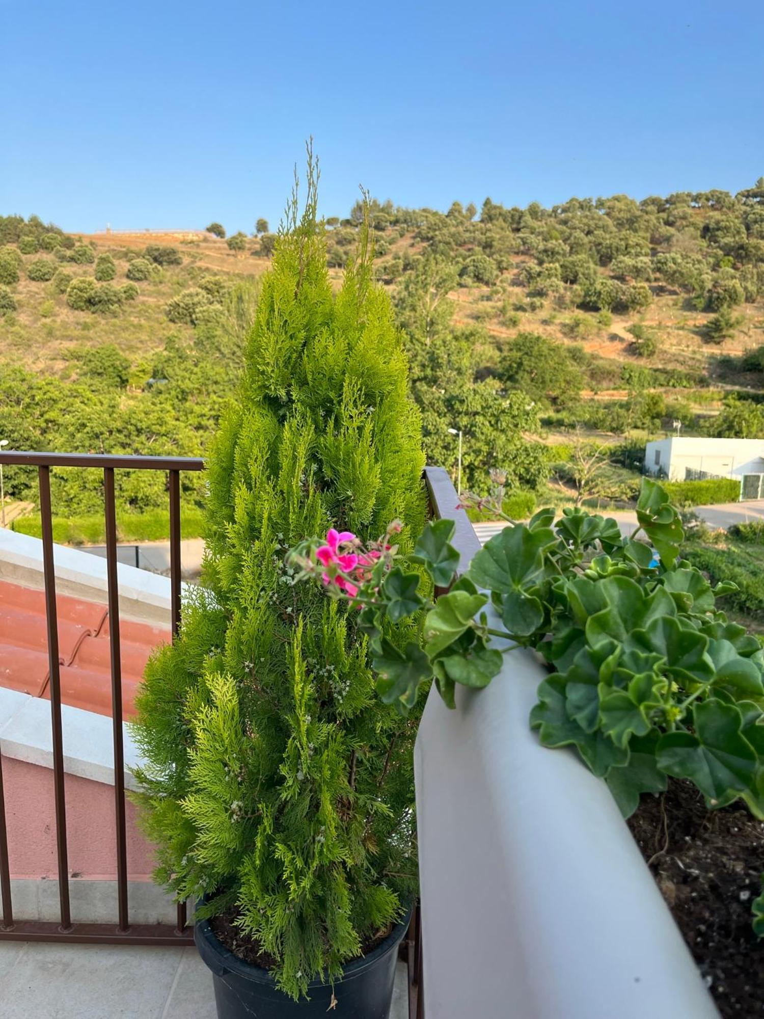 Apartamentos La Flor San Martin de Moncayo Exterior photo